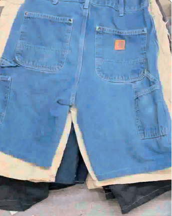 Carhartt and Dickies Shorts