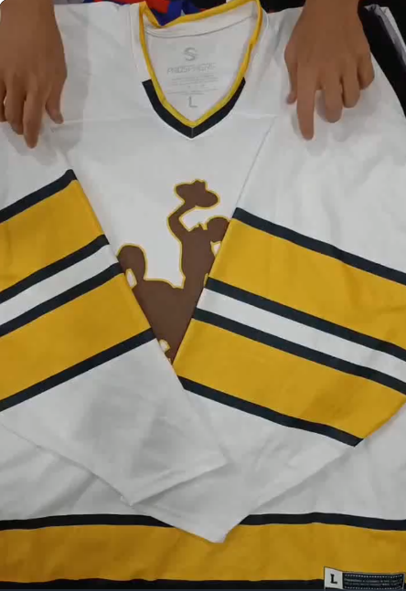 Hockey 🏑 jerseys 37 Pcs