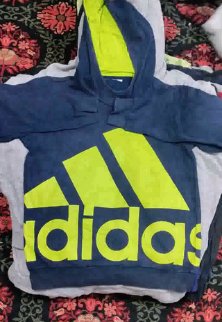 Branded Big logo hoodie sweatshirts  25 pieces