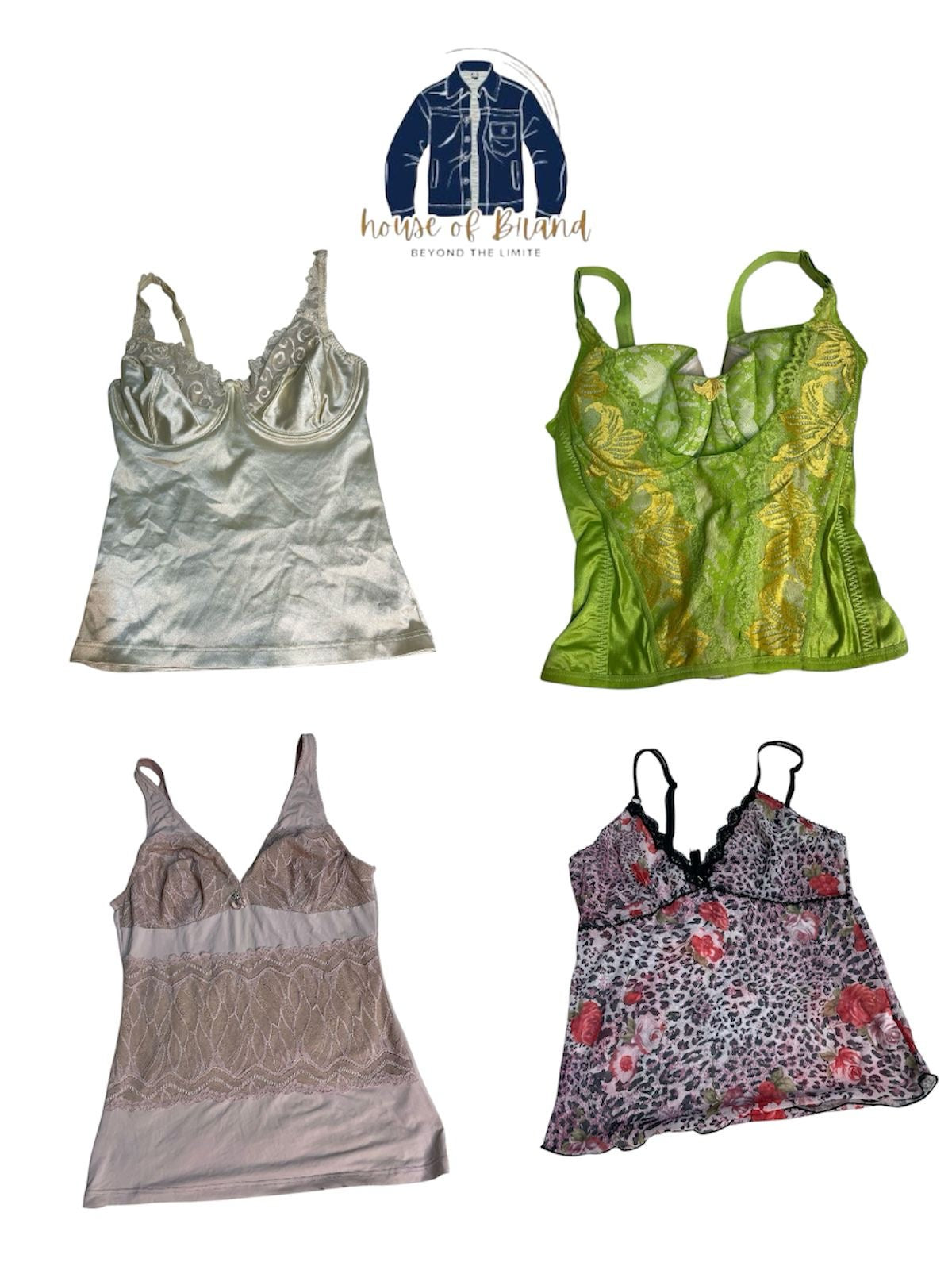 A descriptive alt text for this image