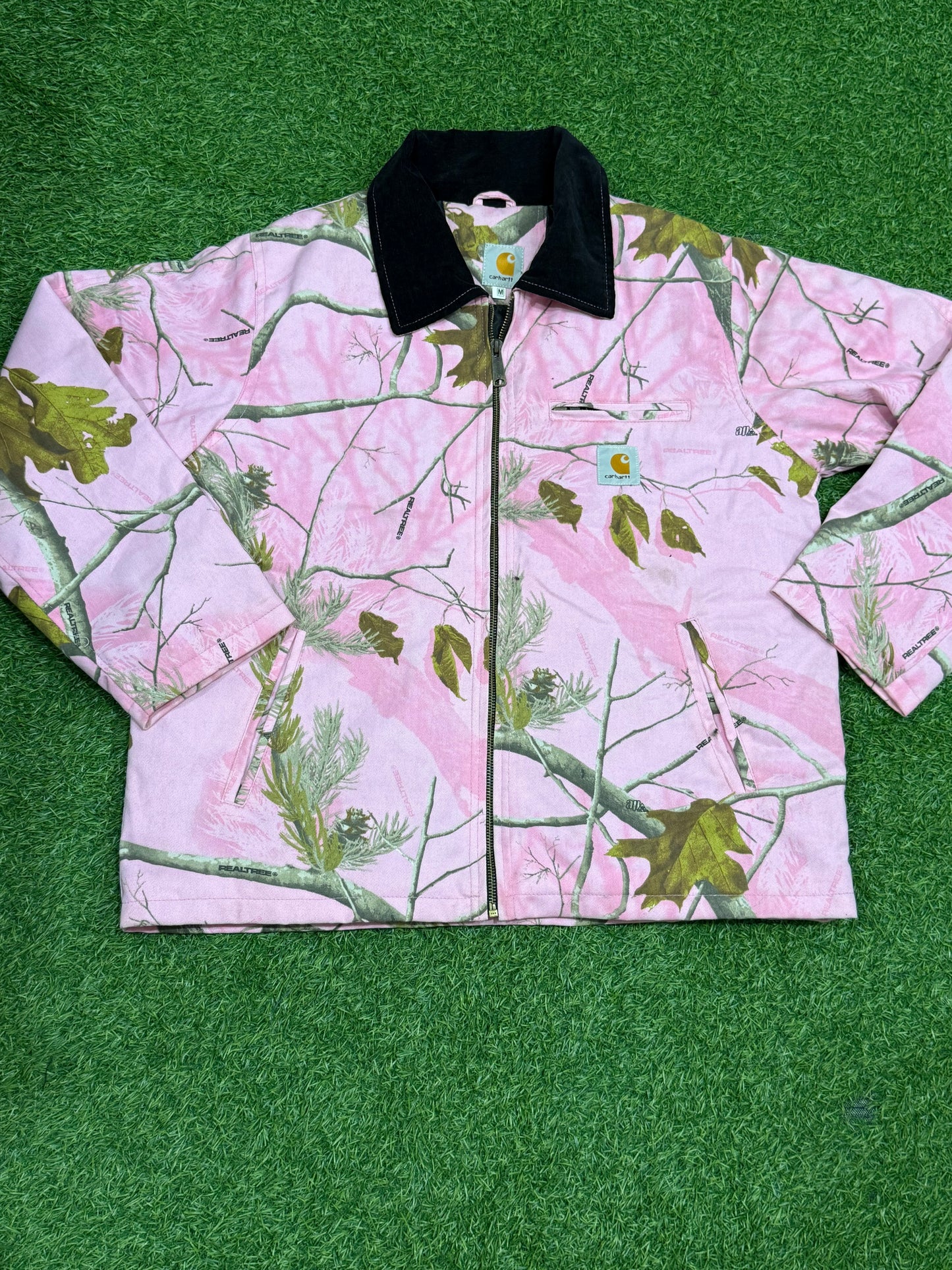 A descriptive alt text for this image