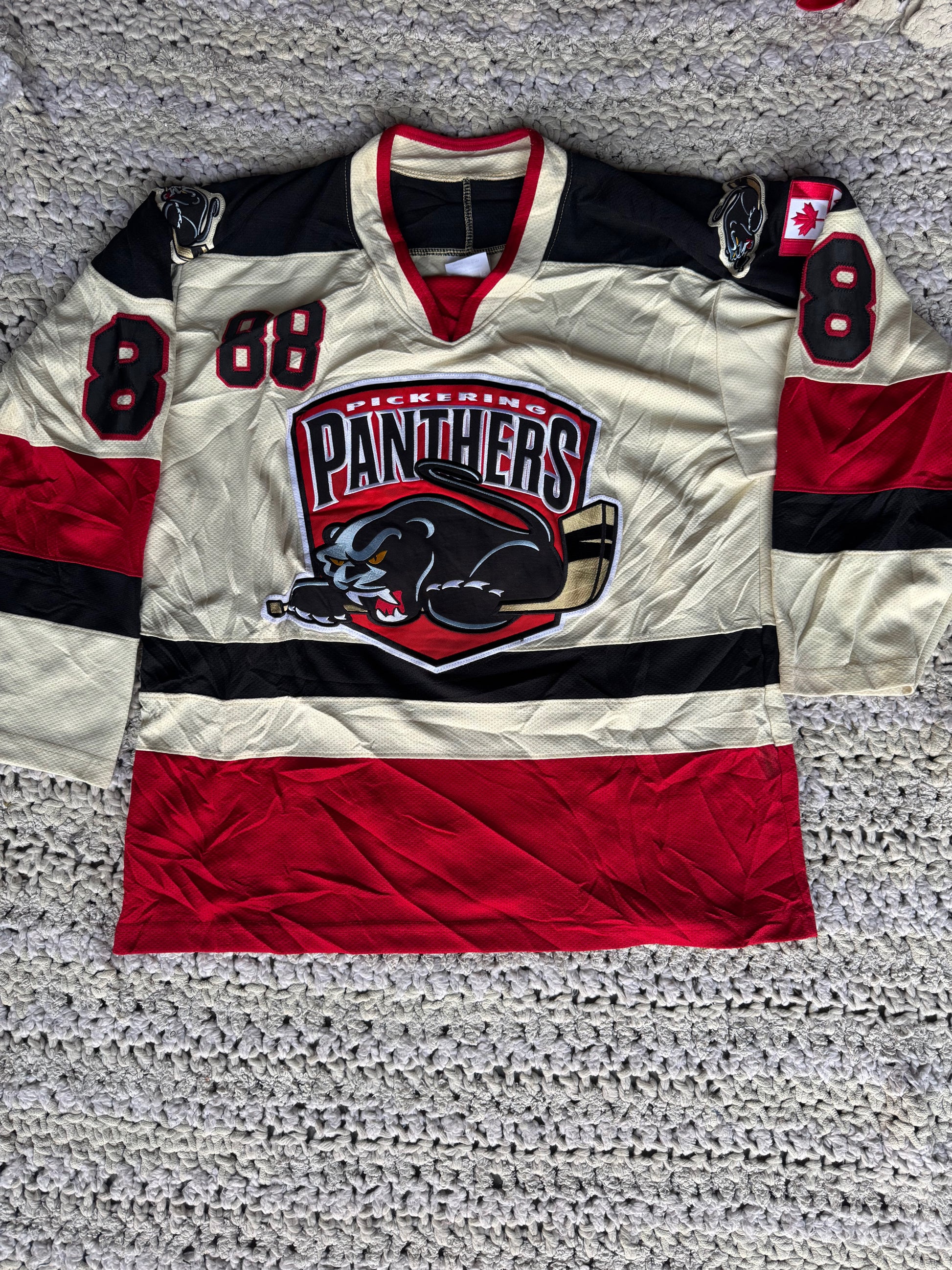 A descriptive alt text for this image