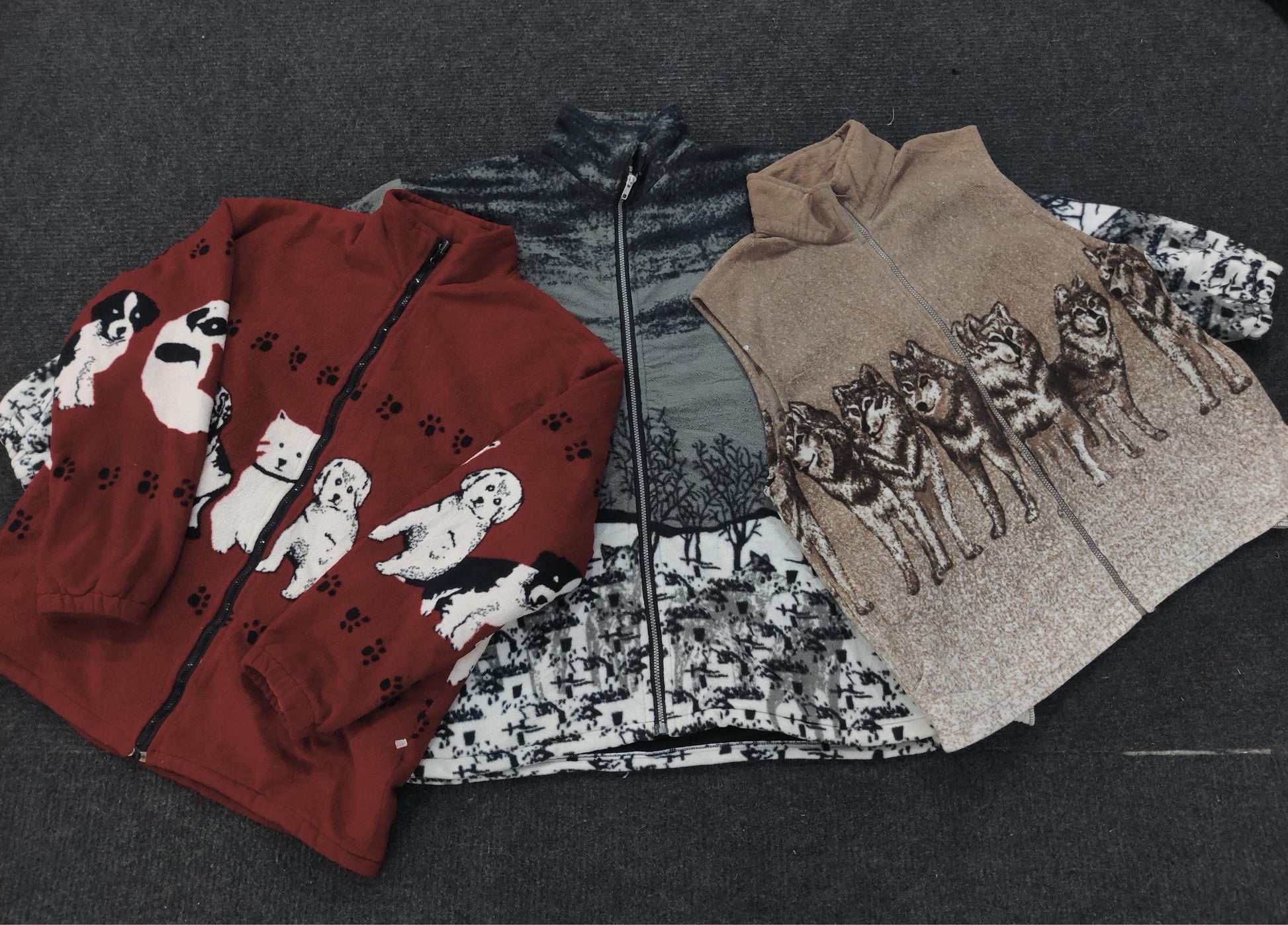 A descriptive alt text for this image