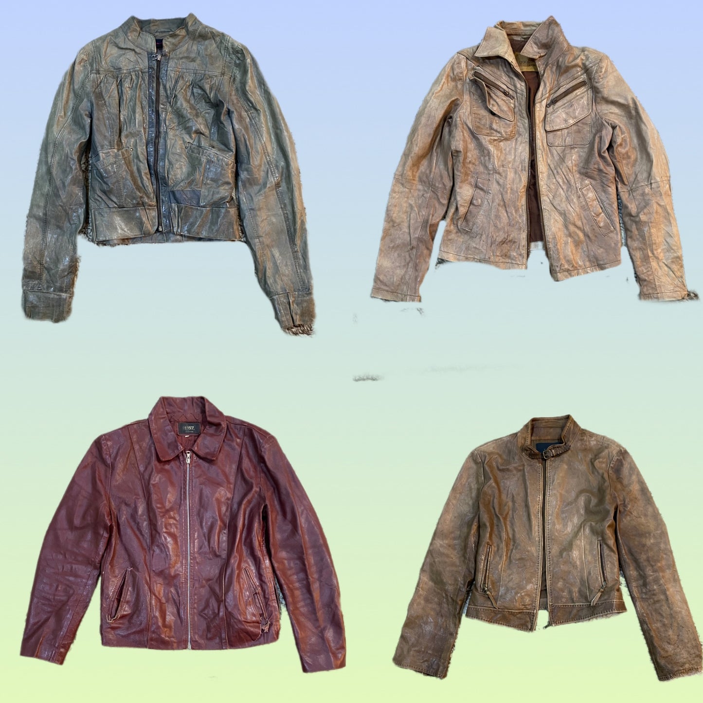 A descriptive alt text for this image