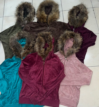 A descriptive alt text for this image