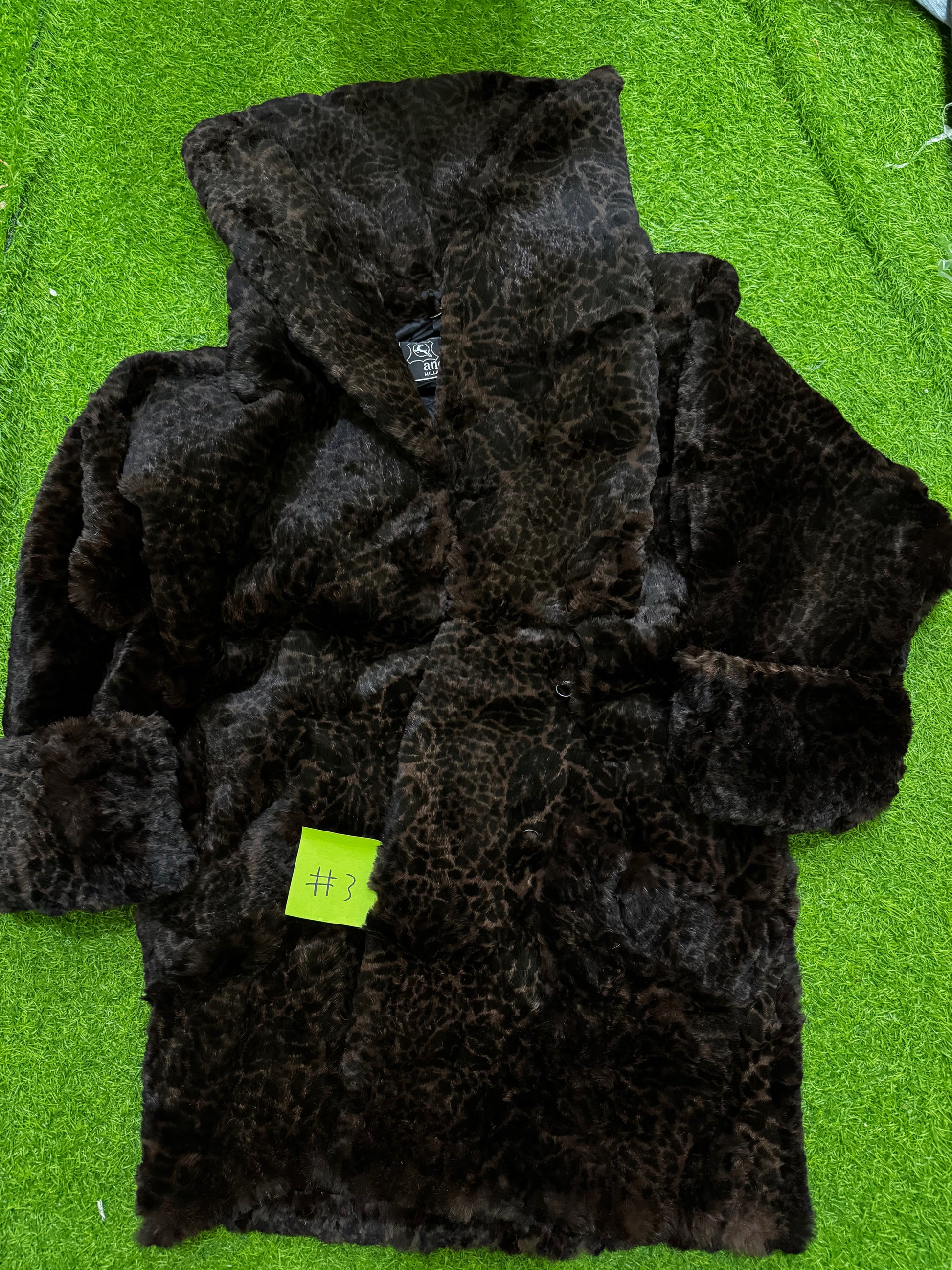 A descriptive alt text for this image