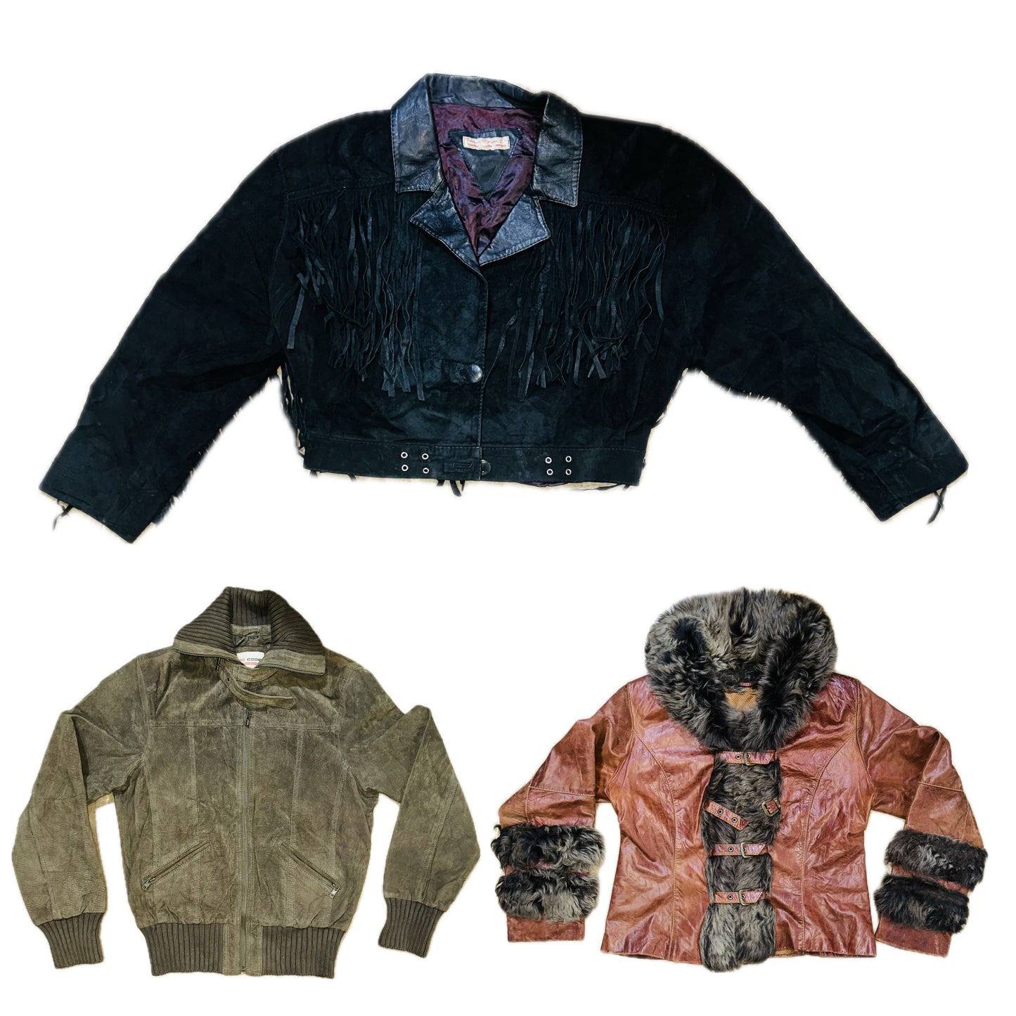 A descriptive alt text for this image