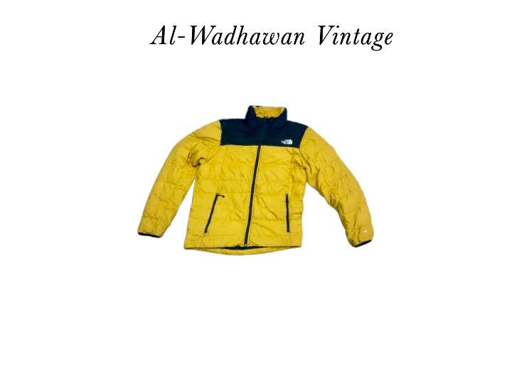 A descriptive alt text for this image