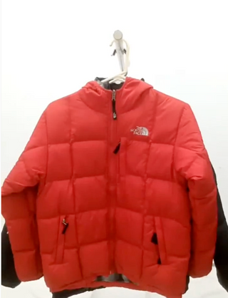 SH22 The North Face Puffer Jackets Series 550 - 800 17 Pcs