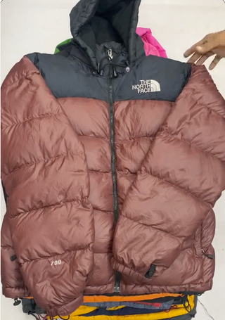 The north face puffer -15 pieces