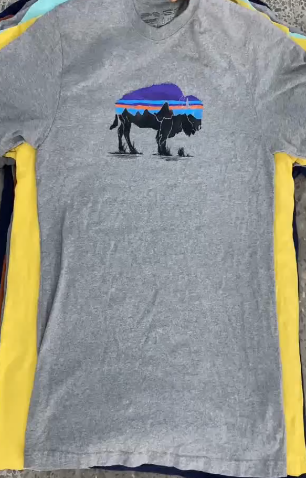 Patagonia T-Shirts