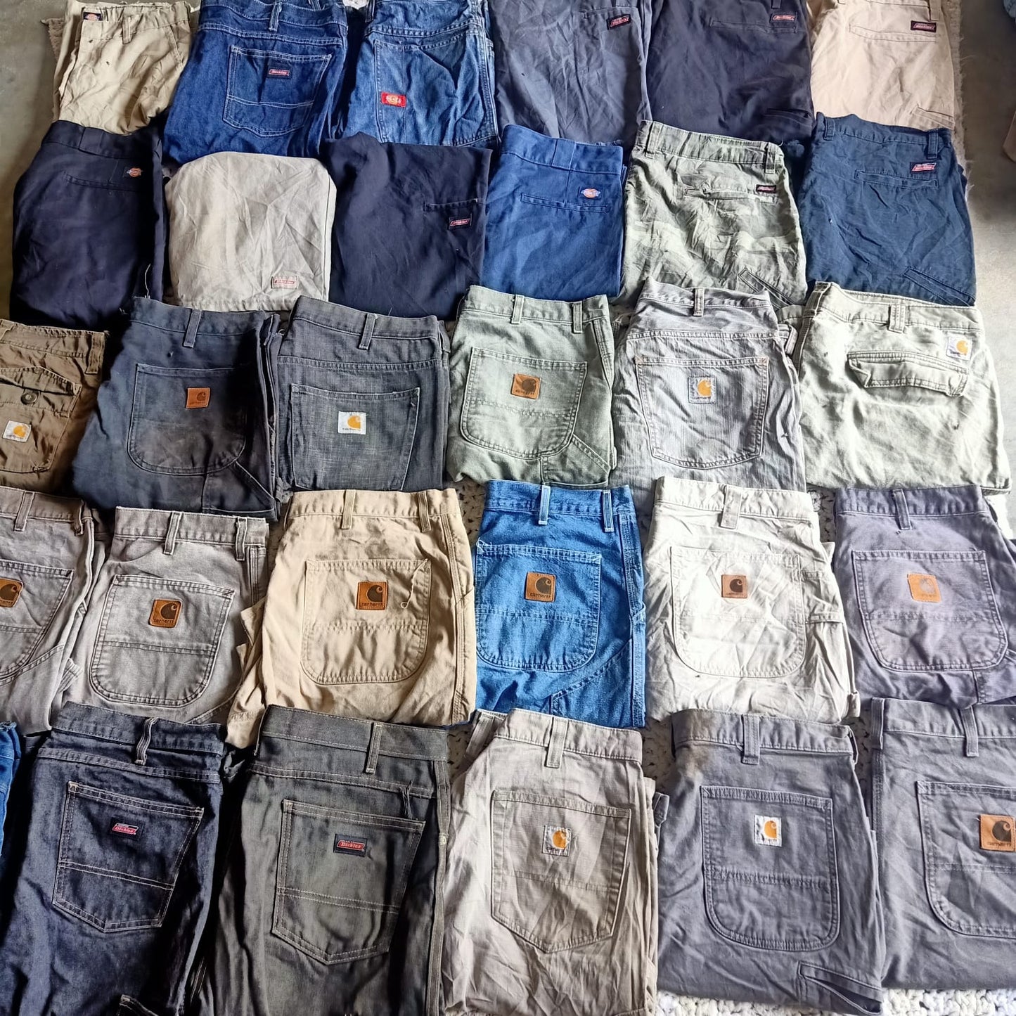 Carhartt and Dickies short