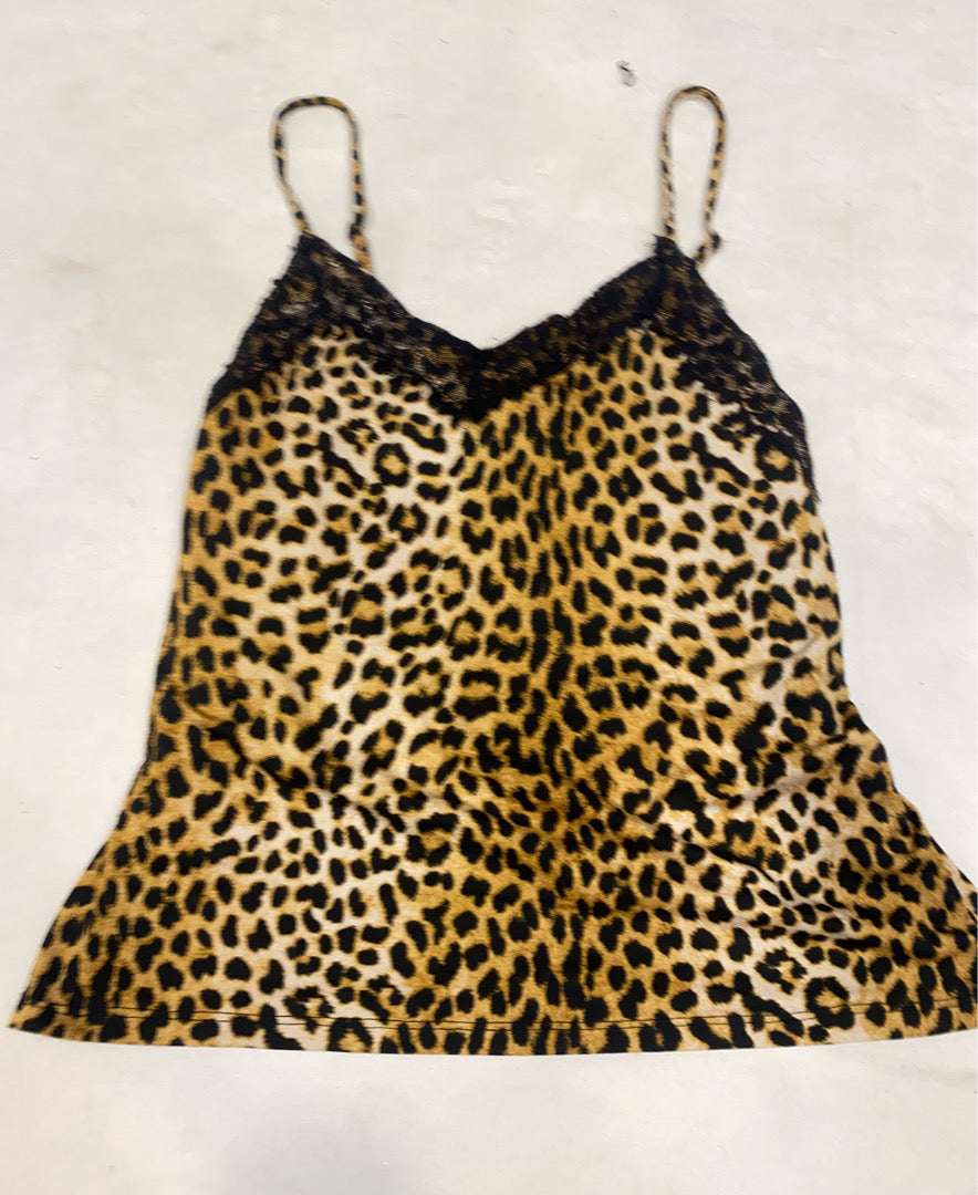 A descriptive alt text for this image