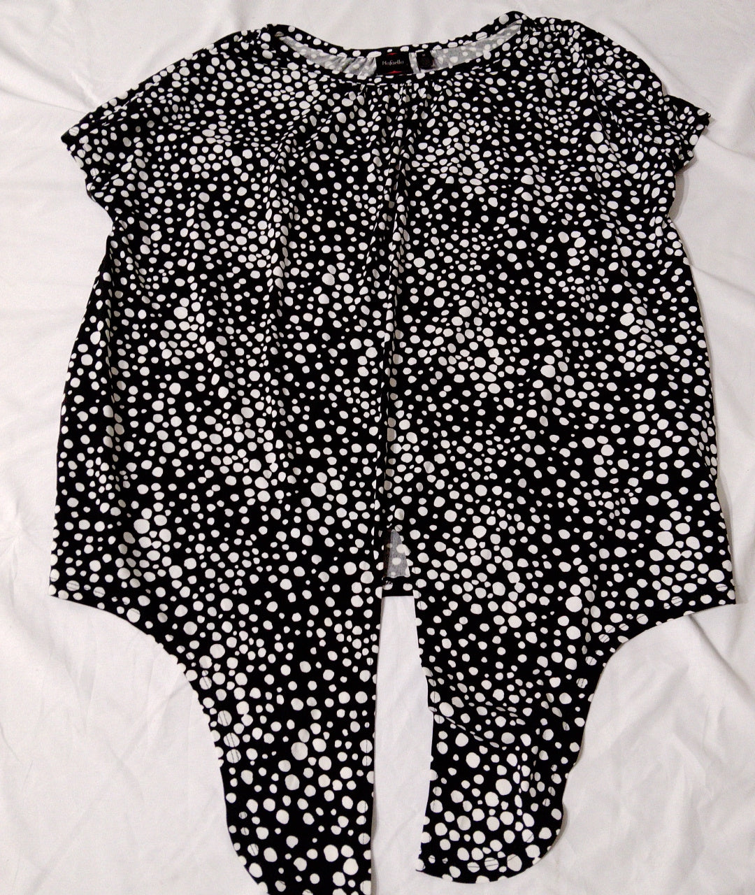 A descriptive alt text for this image