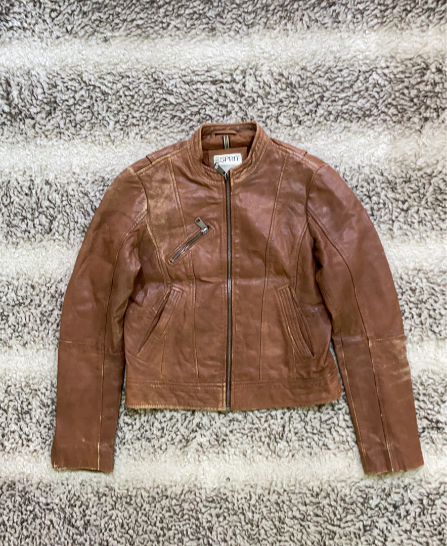 A descriptive alt text for this image