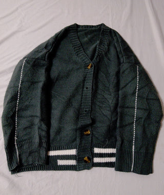 A descriptive alt text for this image