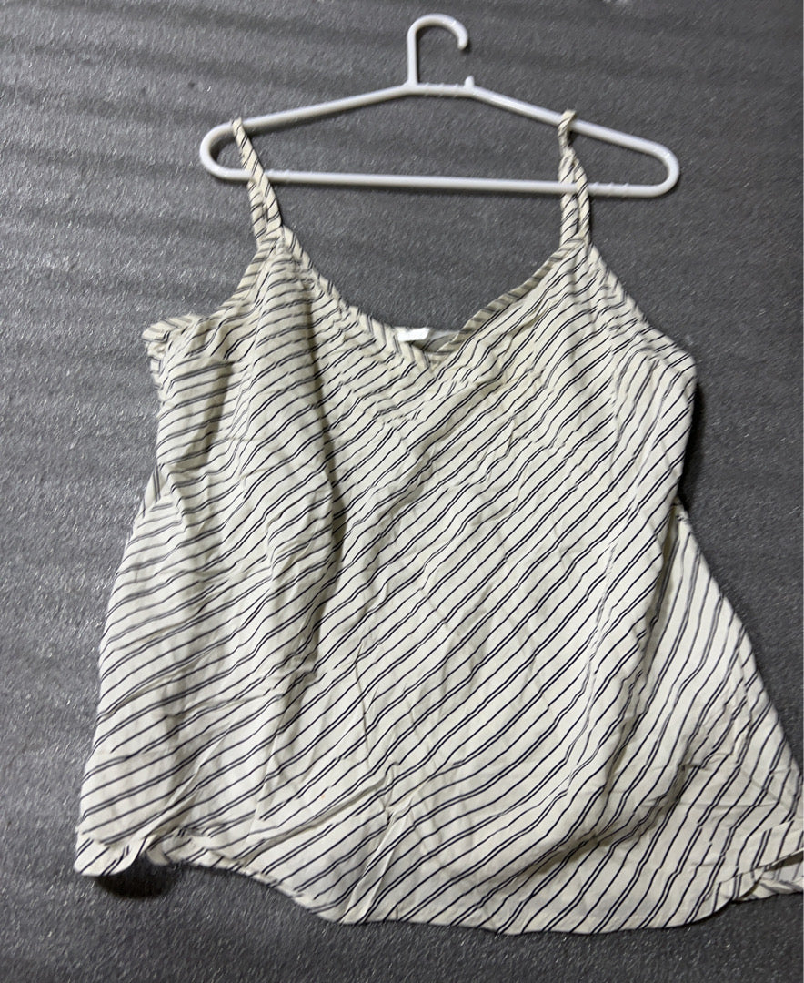 A descriptive alt text for this image