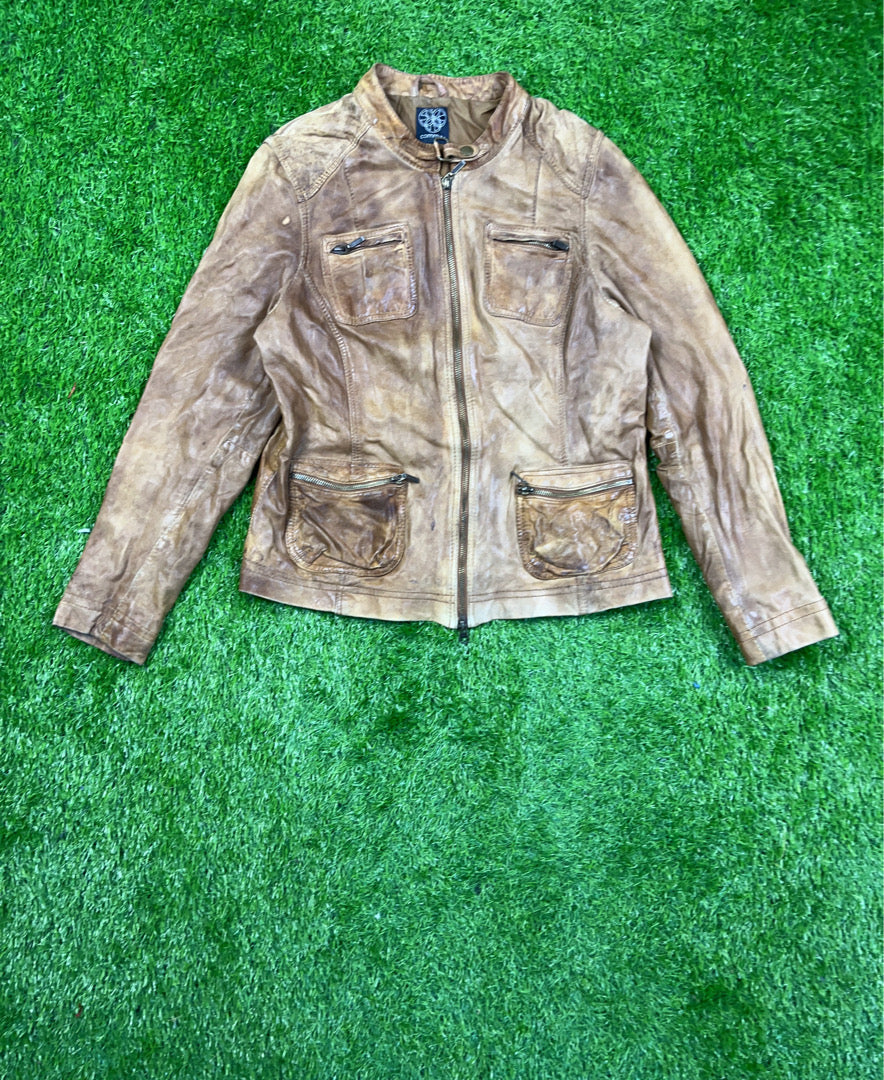 A descriptive alt text for this image