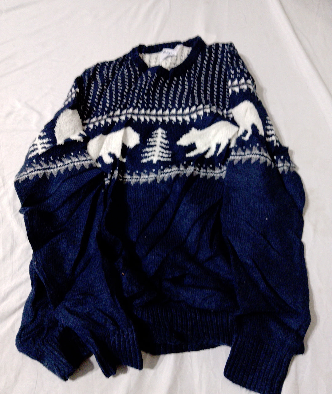 A descriptive alt text for this image