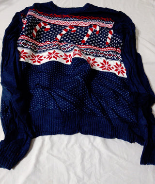 A descriptive alt text for this image