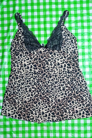 A descriptive alt text for this image