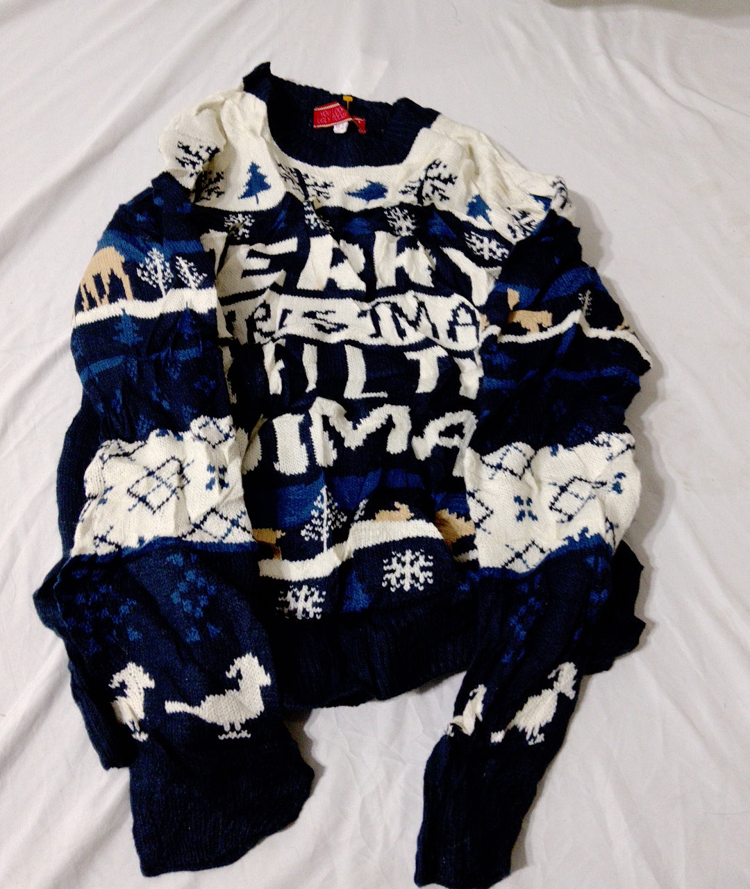 A descriptive alt text for this image