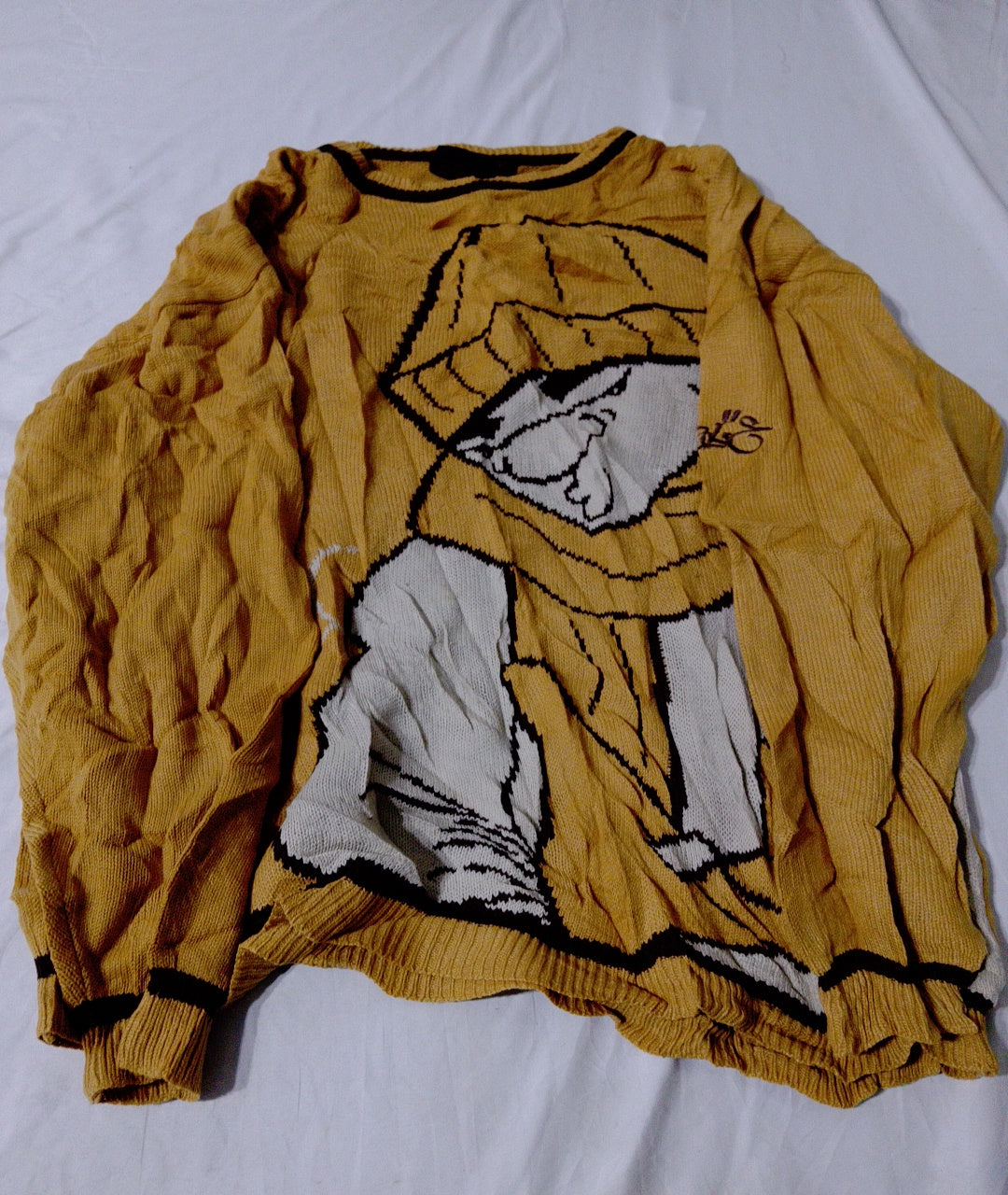 A descriptive alt text for this image