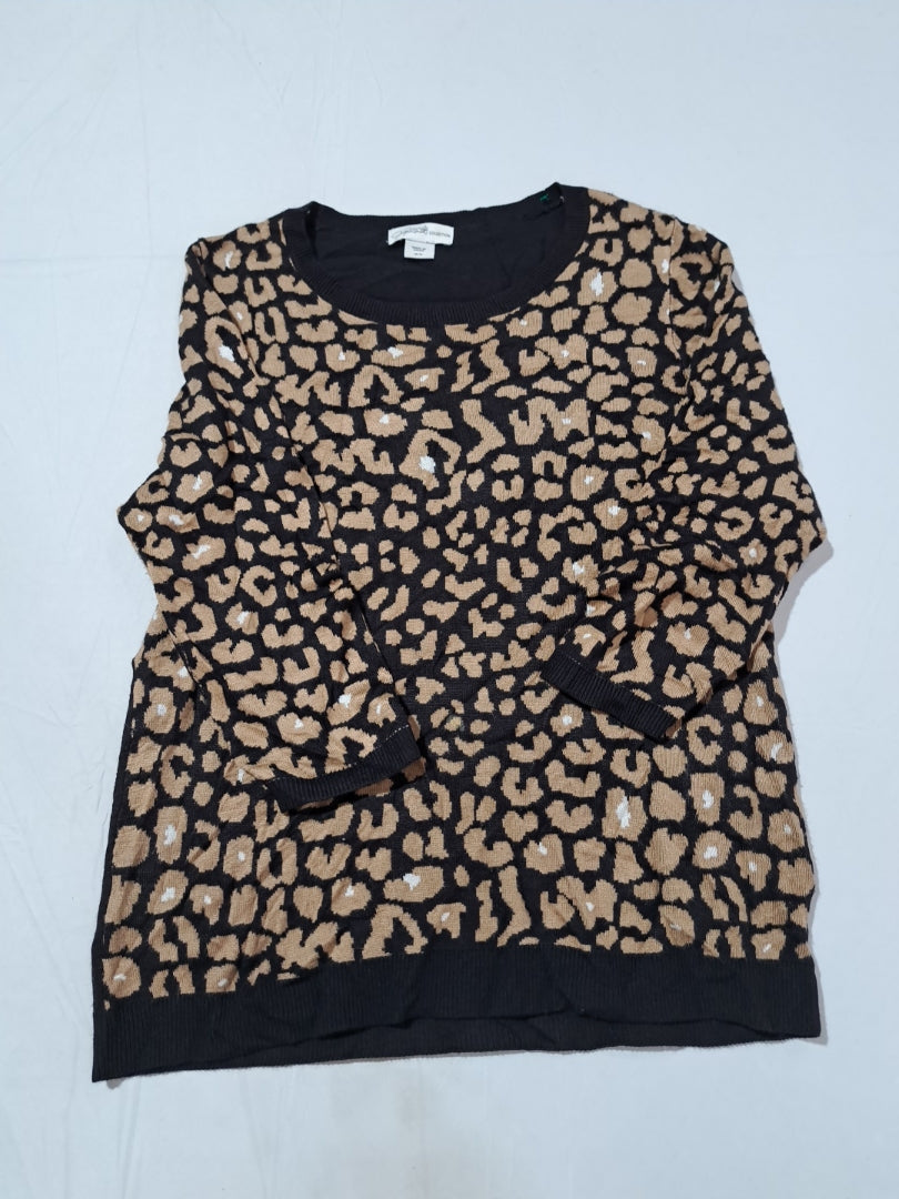 A descriptive alt text for this image