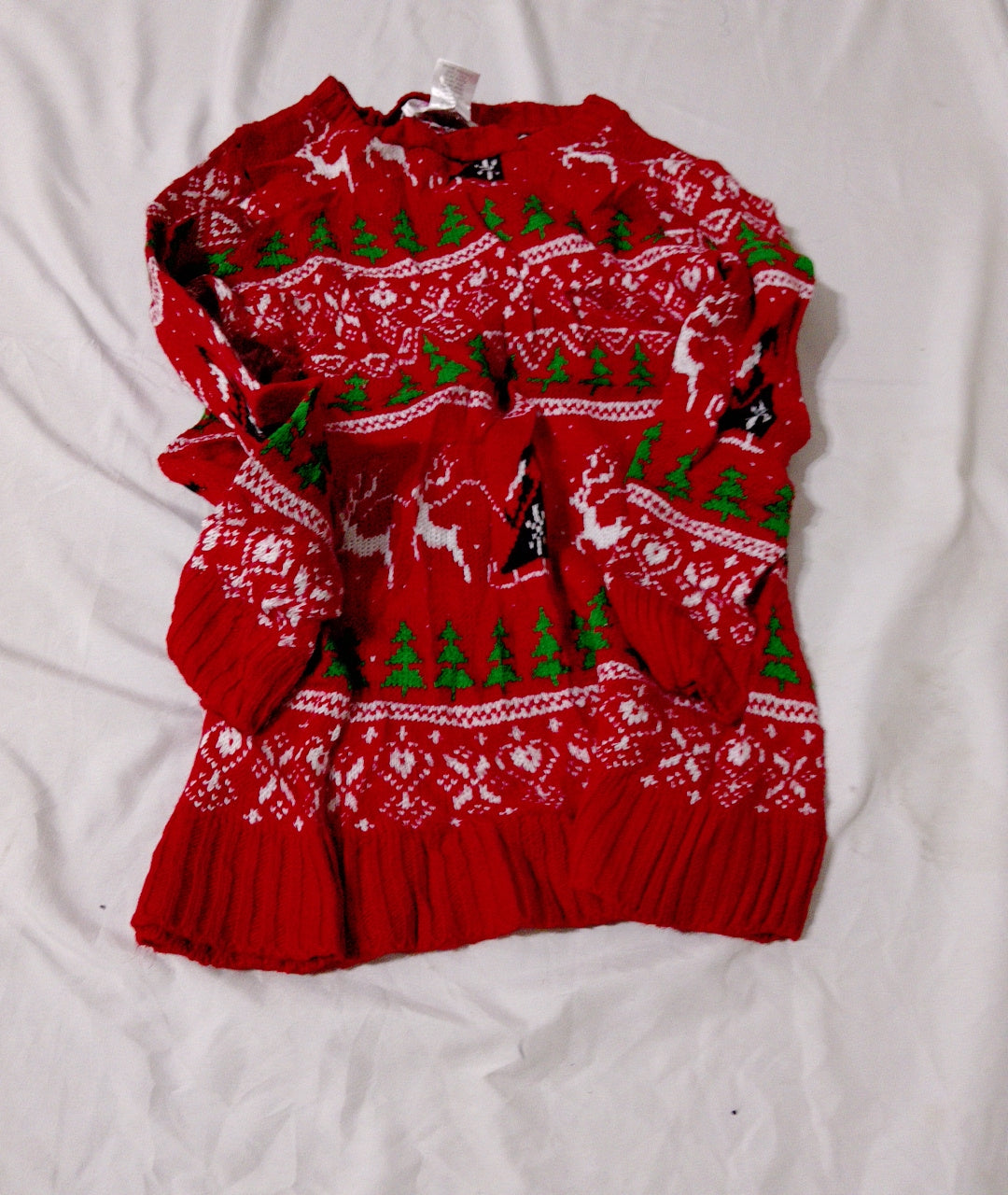 A descriptive alt text for this image