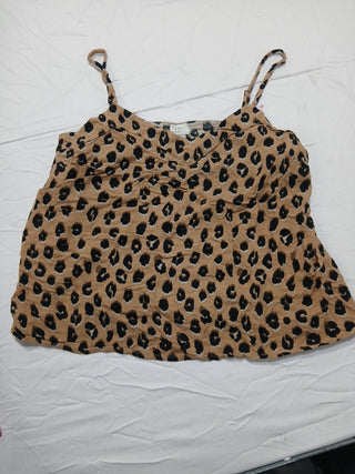 A descriptive alt text for this image