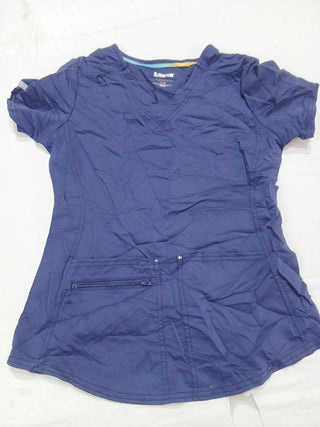 A descriptive alt text for this image