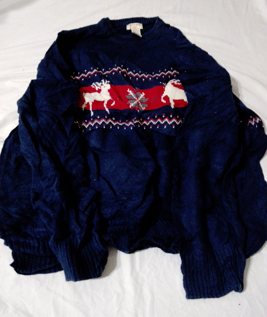 A descriptive alt text for this image