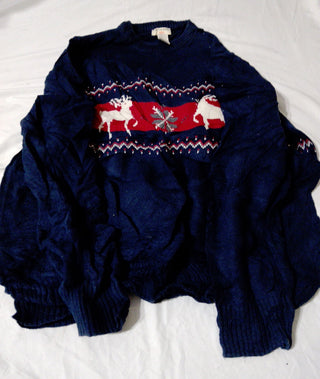 A descriptive alt text for this image