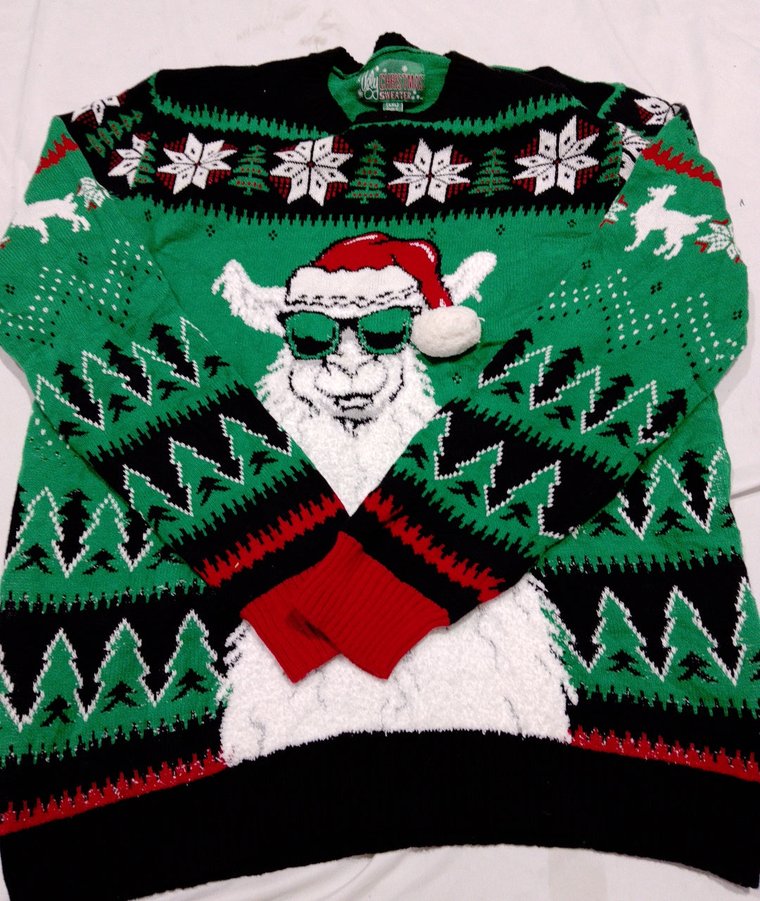 A descriptive alt text for this image