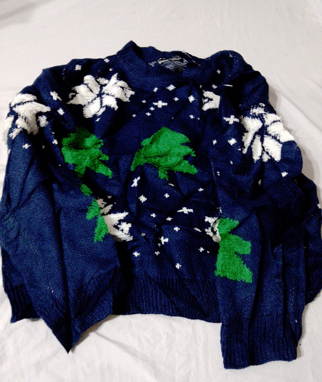 A descriptive alt text for this image