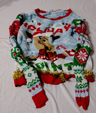 A descriptive alt text for this image