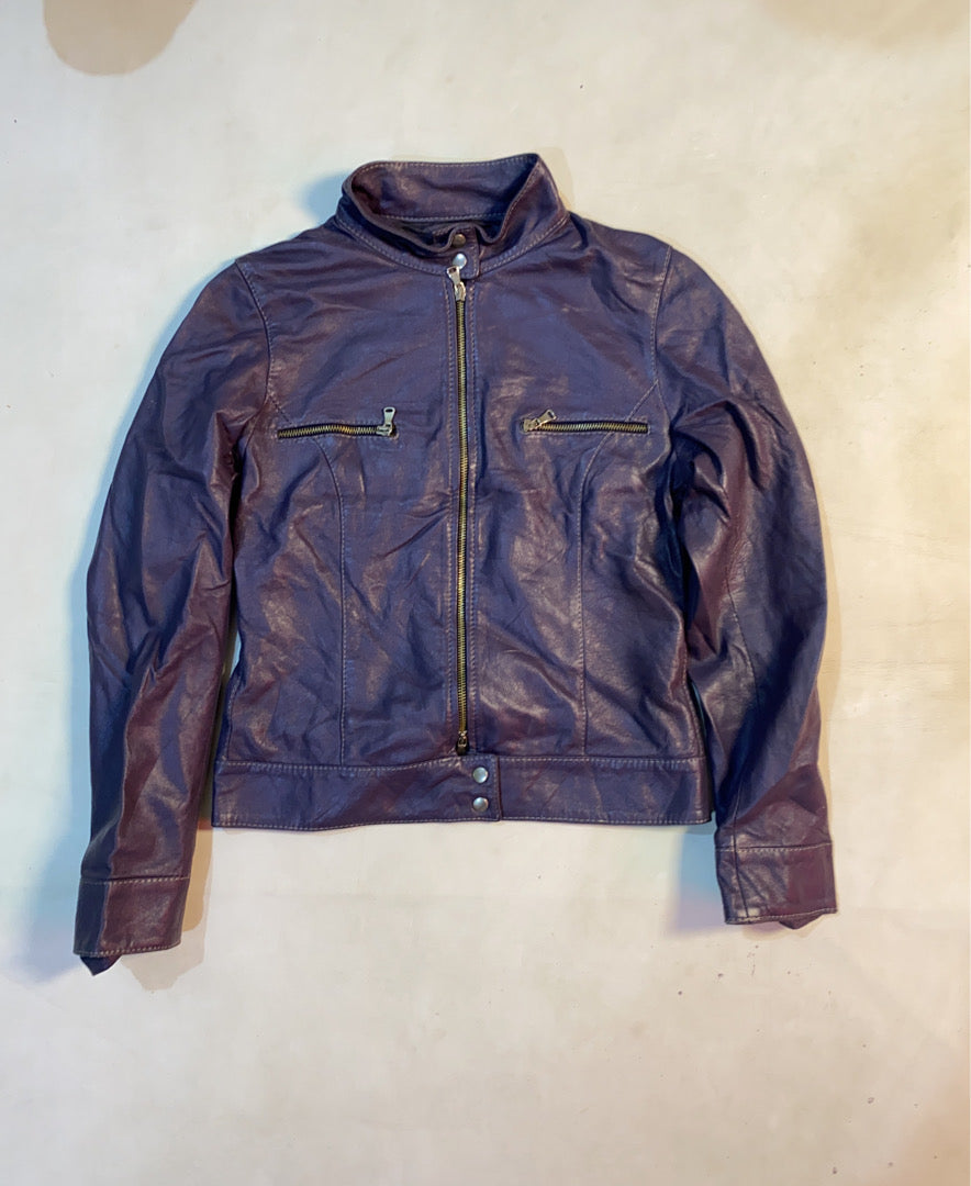 A descriptive alt text for this image