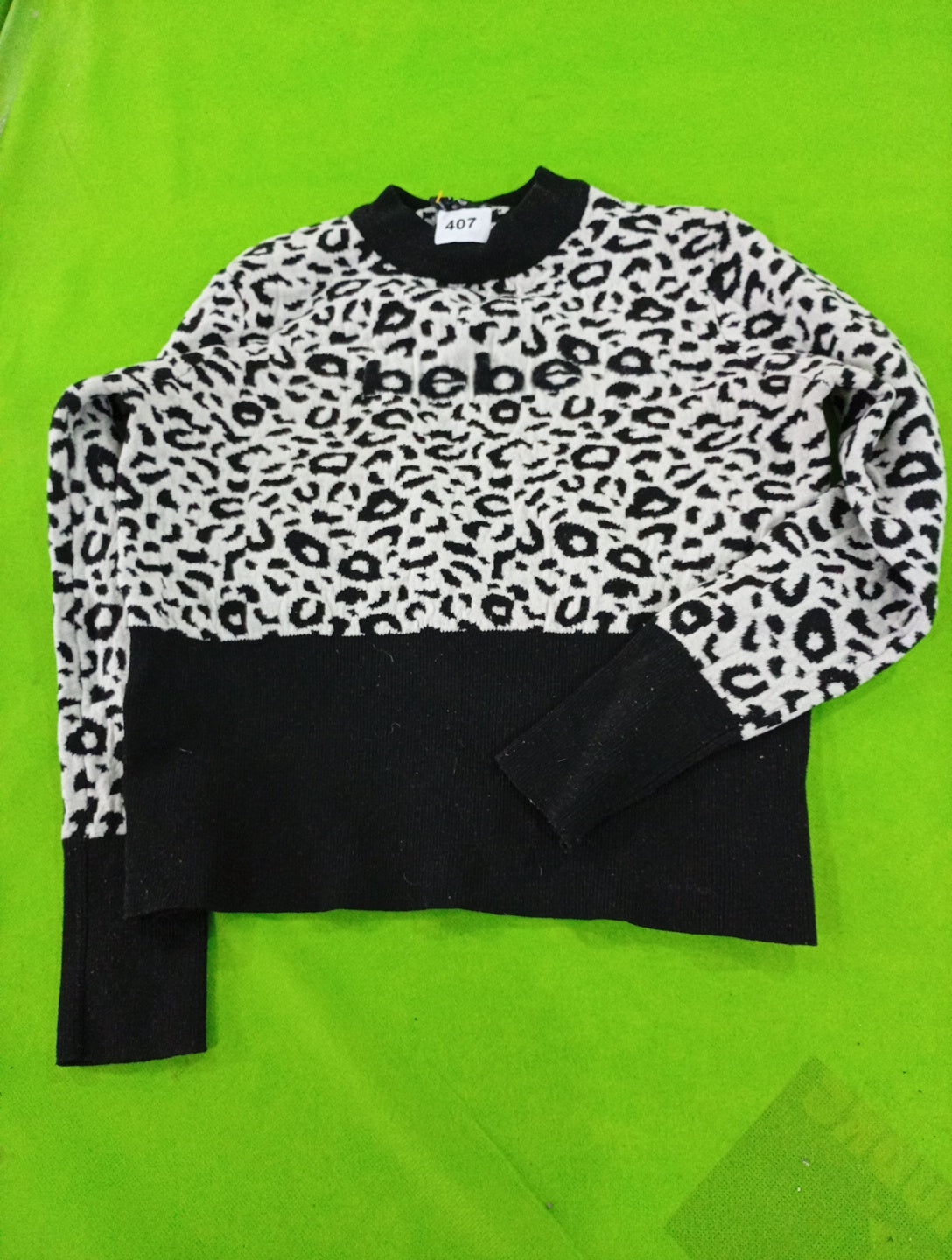 A descriptive alt text for this image