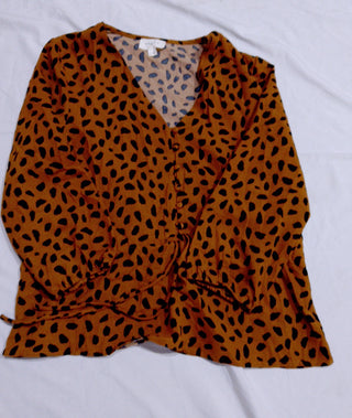 A descriptive alt text for this image