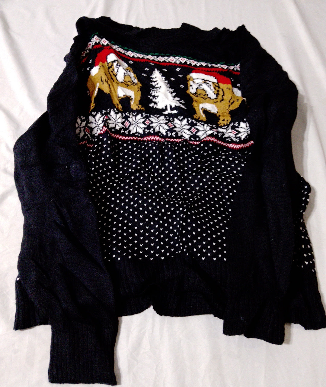 A descriptive alt text for this image