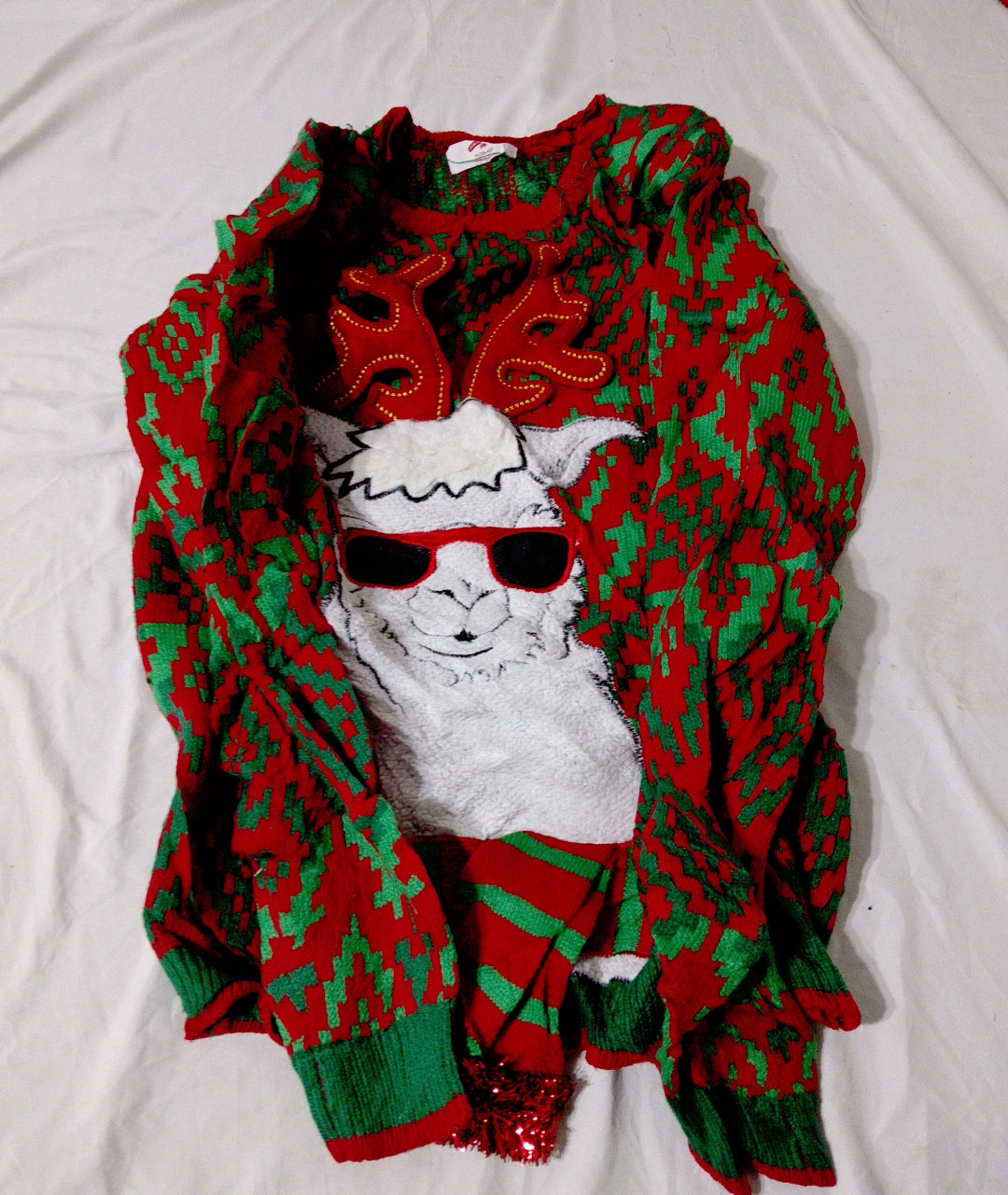 A descriptive alt text for this image