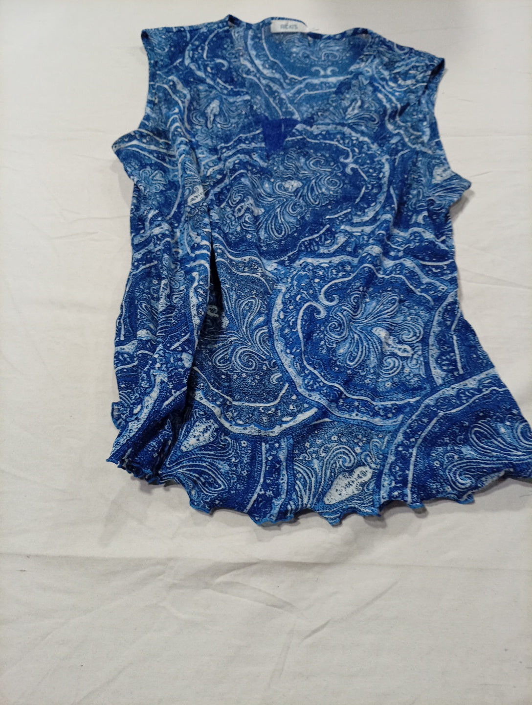 A descriptive alt text for this image