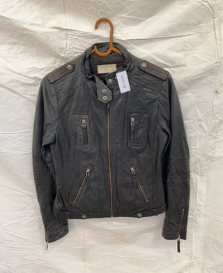 A descriptive alt text for this image