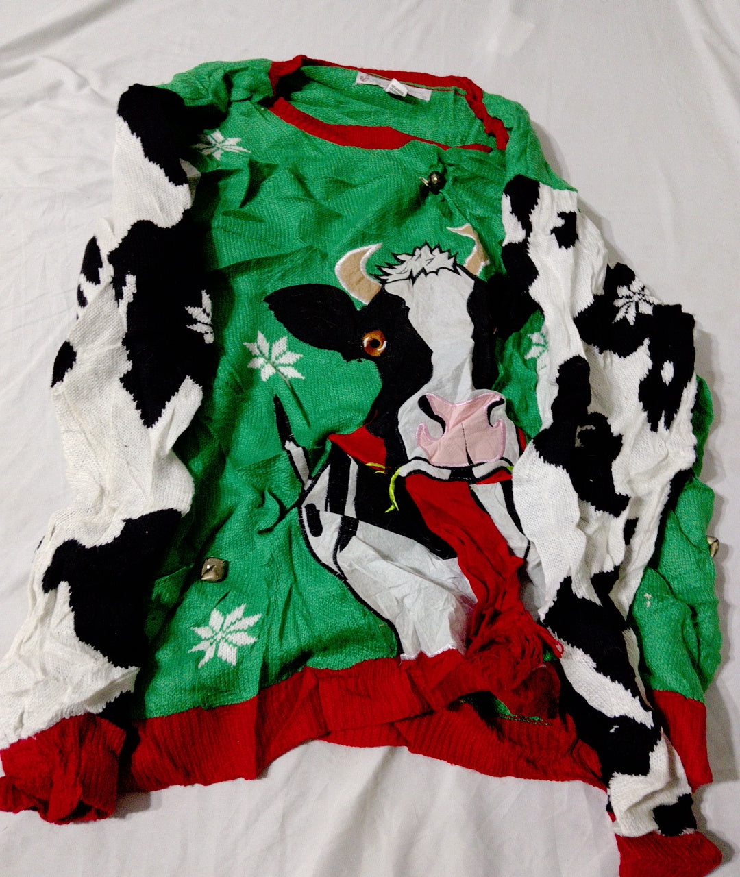 A descriptive alt text for this image