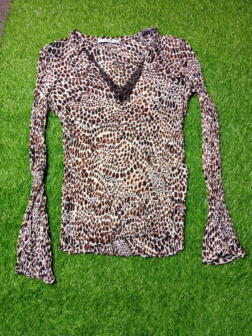 A descriptive alt text for this image