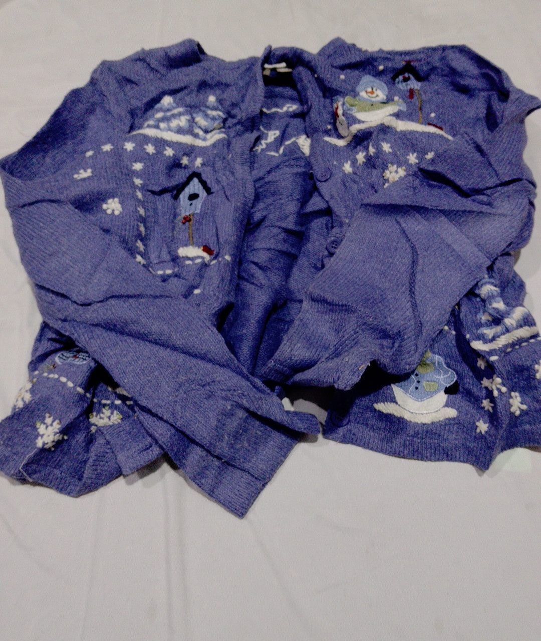 A descriptive alt text for this image