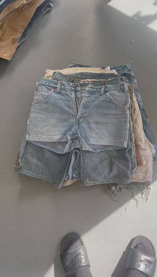 13 Carhartt / Dickies / Levi’s grade B/C Shorts
