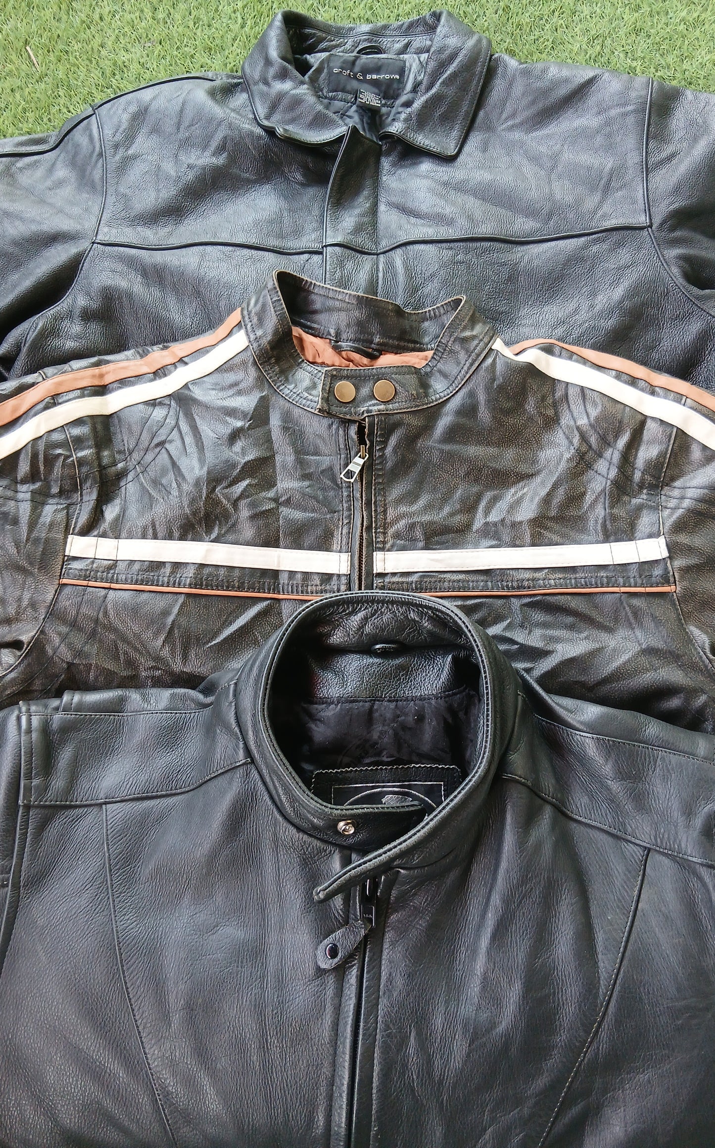 A descriptive alt text for this image