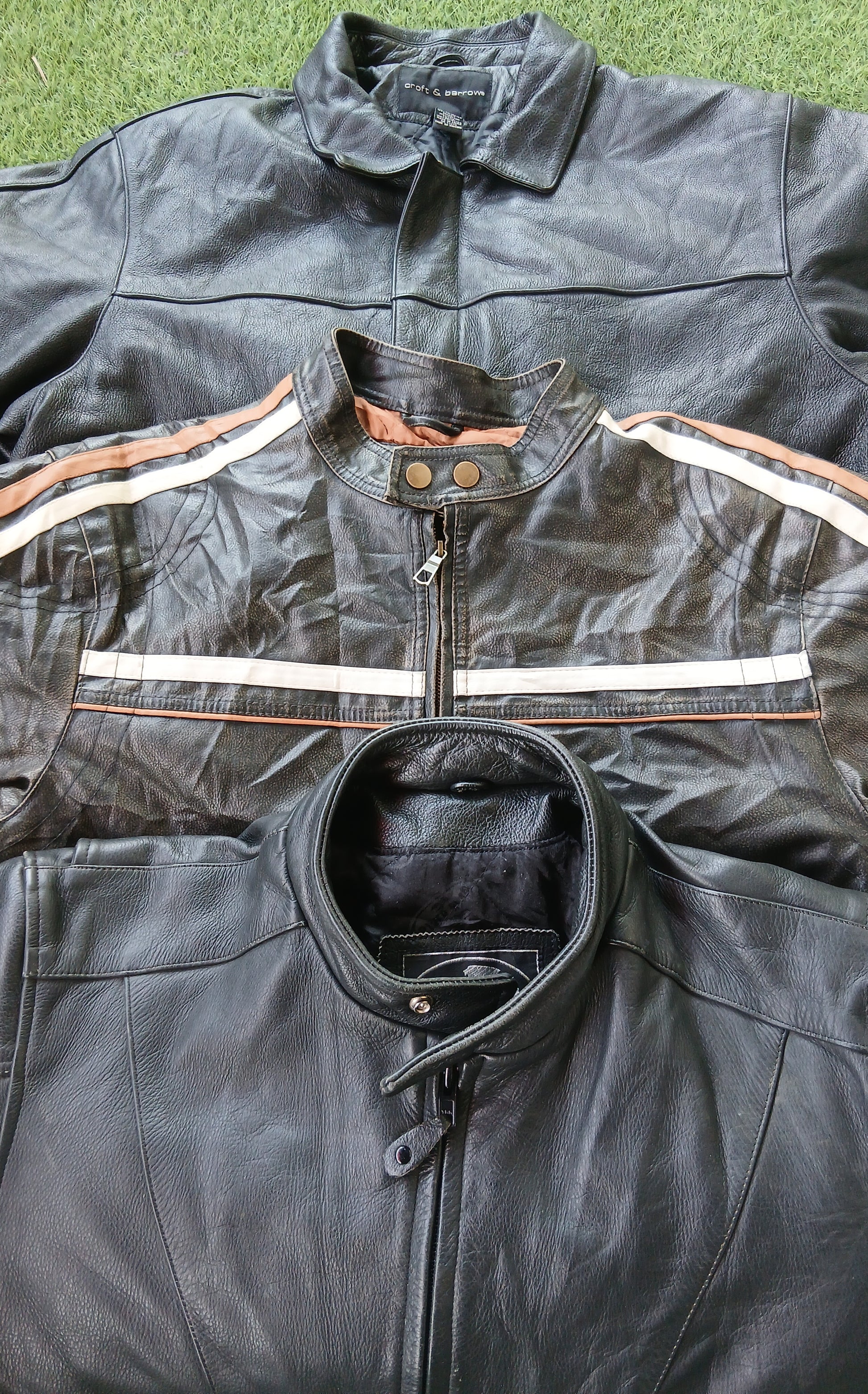 A descriptive alt text for this image