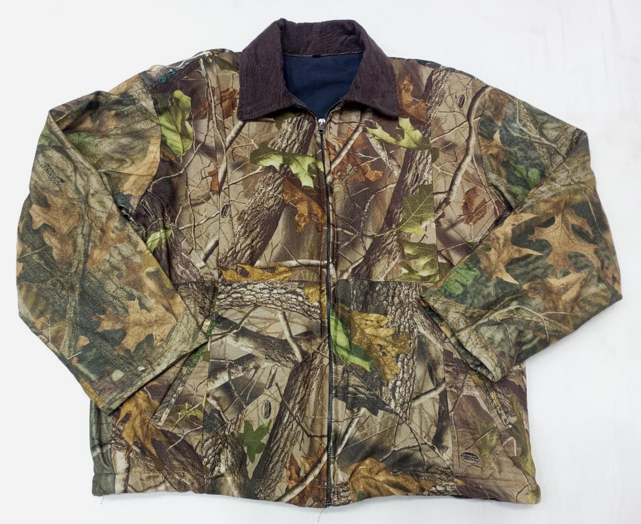 A descriptive alt text for this image